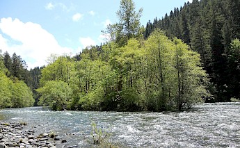 McKenzie River, Oregon. CC:Jsayre64