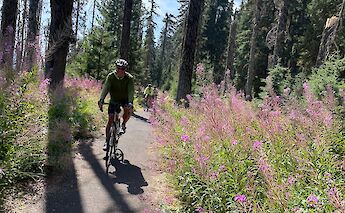Delightful trails in Oregon. Photo via TO.