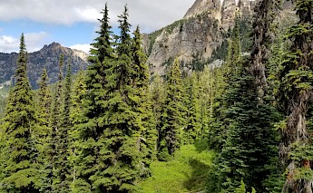 Mazama, Washington. Peter Robbins@Unsplash