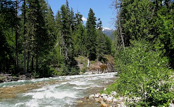 North Cascades National Park, Washington. CC:JBrew