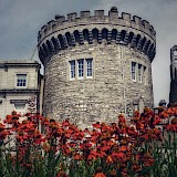 Dublin castle, surrounded by vivid red flowers. Unsplash:Jeremy Matteo