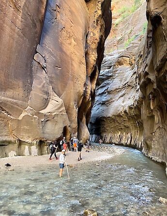 Exploring the Narrows. Photo via TO.