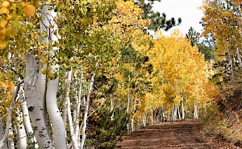 Panguitch, Utah. Shawn Bagley@Unsplash