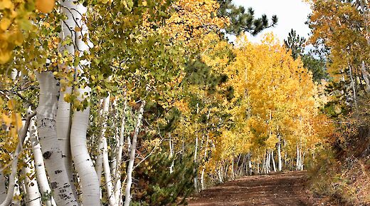 Panguitch, Utah. Shawn Bagley@Unsplash