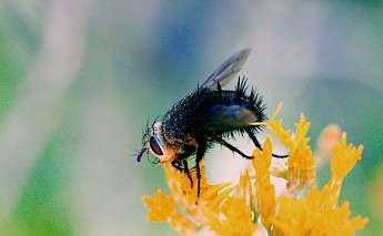 Panguitch, Utah. Shawn Bagley@Unsplash
