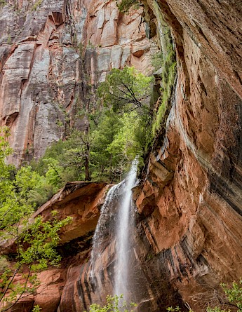 Zion National Park, Utah. Dulcey Lima@Unsplash