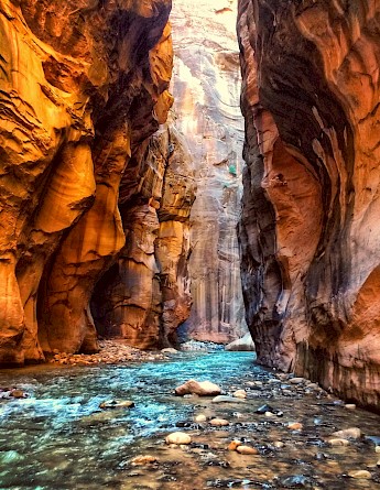Virgin River's Narrows, Zion National Park, Utah. Karan Chawla@Unsplash