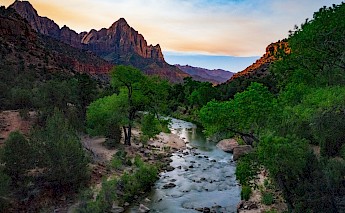 Zion National Park, Utah. Tom Gainor@Unsplash