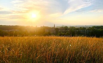 Countryside, Krakow, Poland. Elena Rabkina@Unsplash