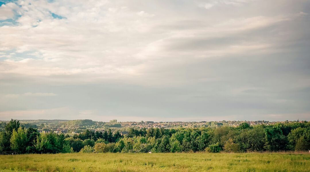 Midday field in Poland. Central Europe nature. Forests and fields. Sergey Kuzmich@Unsplash