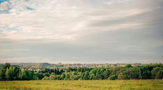 Midday field in Poland. Central Europe nature. Forests and fields. Sergey Kuzmich@Unsplash