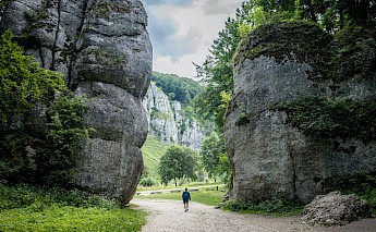 Walker in Ojcow National Park, Krakow, Poland. Unsplash:Sylwia Bartyzel