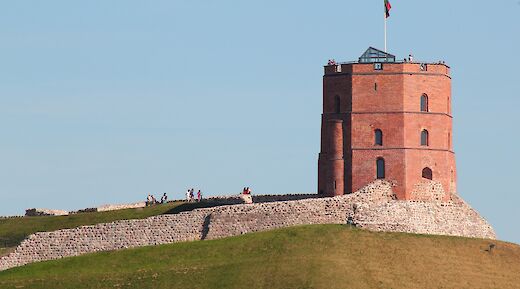 Tower of Gediminas from a long distance. Vilmantas Bekesius@Unsplash