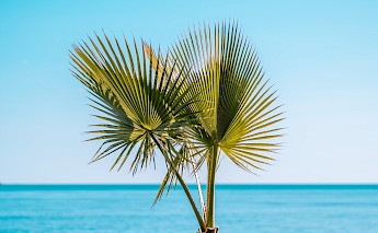 Costa del Sol, Málaga, Andalusia, Spain. Tom Brunberg@Unsplash