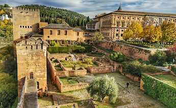 Gardens in Granada, Spain. Unsplash:Marco Montero Pisani