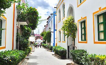 Plants outside houses in Marbella, Spain. Unsplash:Lynn Van Den Broeck
