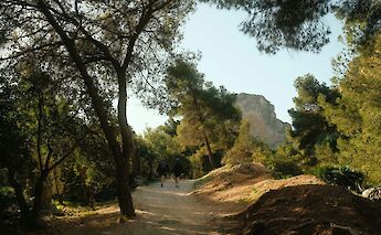 Tree-lined path in Caminito del Rey, Spain. Unsplash:Marc Kleen