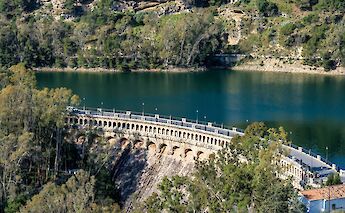 Trees around the Caminito del Rey, Spain. Unsplash:Getty Images