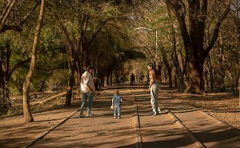 Park, Vilnius, Lithuania.  Jordan Gonzalez@Unsplash