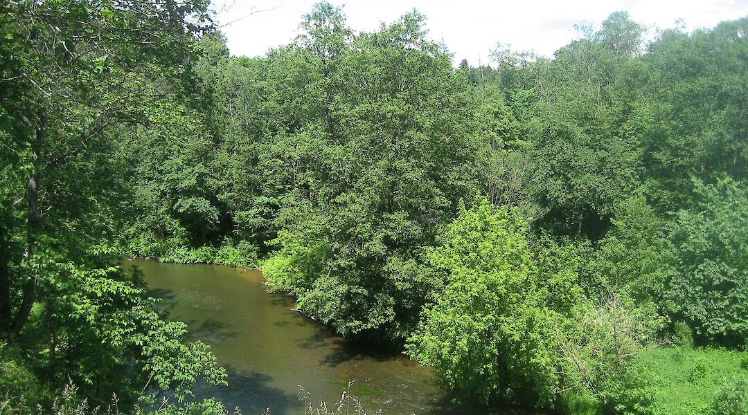 River Vilnia, Lithuania. Flickr:Domas Mituzas