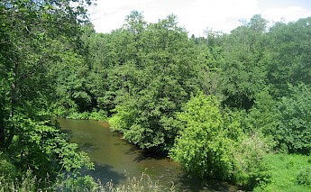 River Vilnia, Lithuania. Flickr:Domas Mituzas