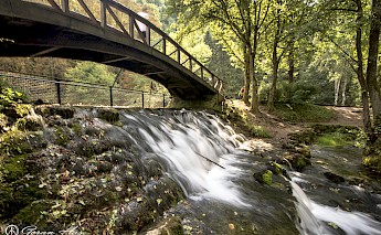 The spring of Bosna River. Flickr:Goran Has