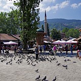 Pigeons at Bascarsija square, Sarajevo. Unsplash:Lothar Boris