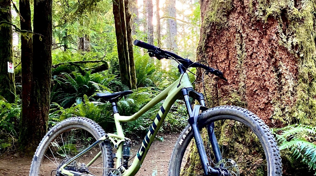 Mountain bike rested by the tree. Unsplash:Nik Owens