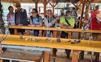 Oyster tasting. Epic Croatia