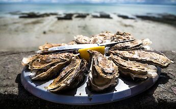 Oysters on the beach. Tommaso Cantelli@Unsplash