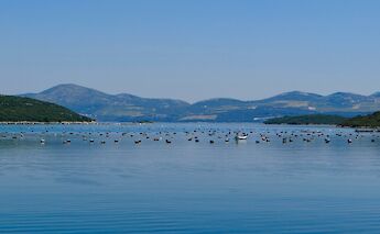 Peljesac Peninsula, Croatia. Diana Kumst@Unsplash