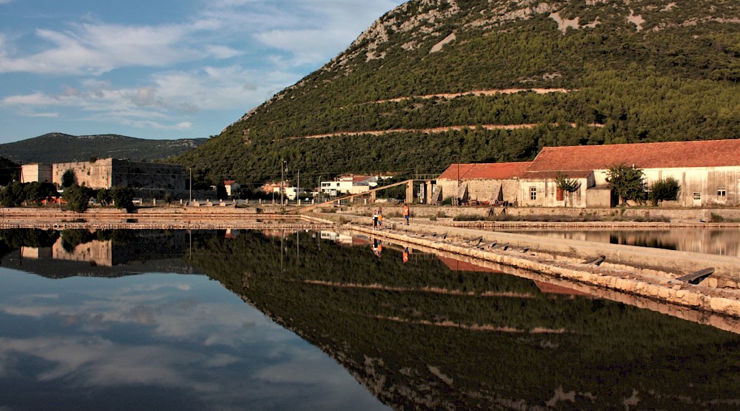Peljesac peninsula, Croatia. Unsplash:Alessandro Venturi