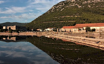 Peljesac peninsula, Croatia. Unsplash:Alessandro Venturi