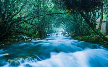 Rushing waters of the Ljuta River, Croatia. Nikola Majksner@Unsplash