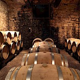 Wine barrel cellar. Unsplash:Tamara Malaniy