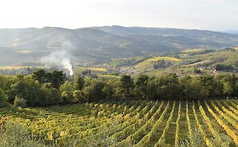 Overlooking vineyards and rolling hills in Chianti, Tuscany, with smoke rising in the distance.