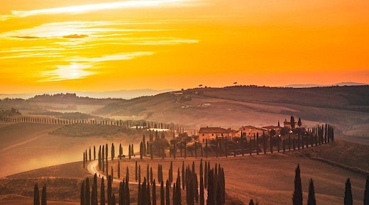 Private Tuscany Sunset Bike Tour with Wine & Olive Oil Tasting, Florence