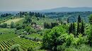 Chianti to San Gimignano Florence Bike Tour with Wine & Olive Oil Tasting