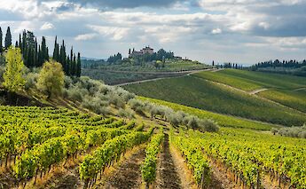 Chianti, Tuscany, Italy. Rich Martello@Unsplash