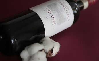 Chianti wine, Tuscany, Italy. Alessandro Sacchi@Unsplash