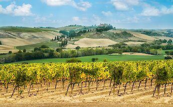 Rolling hills of Chianti, Tuscany, Italy. Getty Images@Unsplash