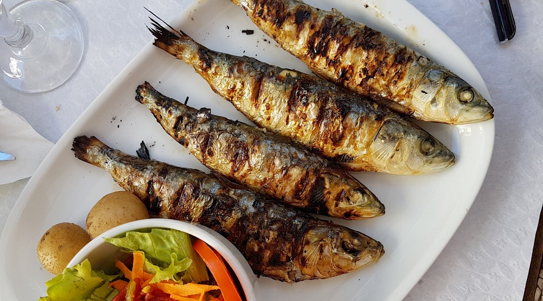 Grilled sardines, typical Portuguese food. Unsplash:Alex Teixeira