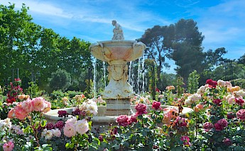 Rose garden, El Retiro Park, Madrid. Unsplash:Jacob Thomas