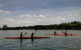Casa de Campo, Madrid. Unsplash:Zuly