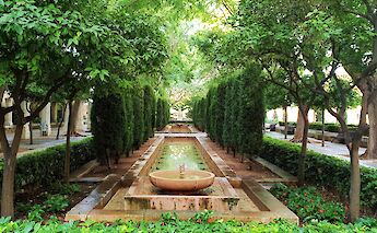 Tree-lined garden with fountains, Palma de Mallorca. Unsplash: Magdalena Klaja.