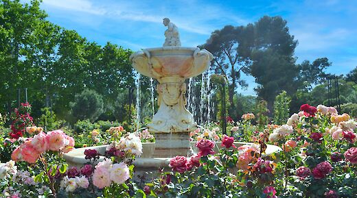 A decorative fountain surrounded by a vibrant rose garden in El Retiro Park, Madrid.