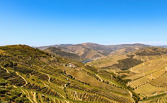 Douro valley, Porto. Unsplash:Bruno Ferreira