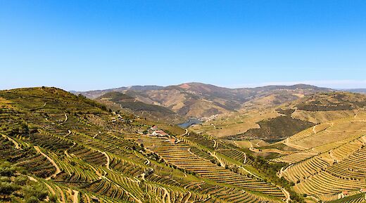 Douro valley, Porto. Unsplash:Bruno Ferreira