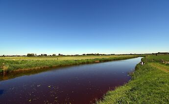 Polder landscape, Holland bike tour. Ries Bosch@Unsplash