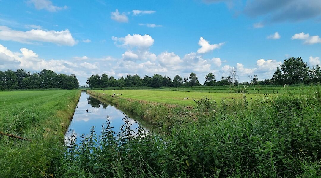 Polder landscapes in the Netherlands, Holland bike tour. Suzanne Mulder@Unsplash